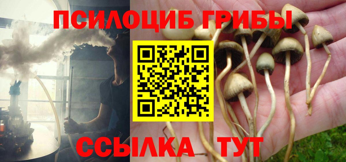 Псилоцибиновые грибы мицелий Городец
